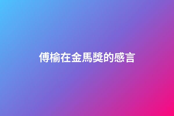 傅榆在金馬獎的感言