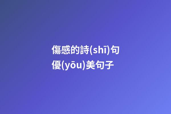 傷感的詩(shī)句優(yōu)美句子