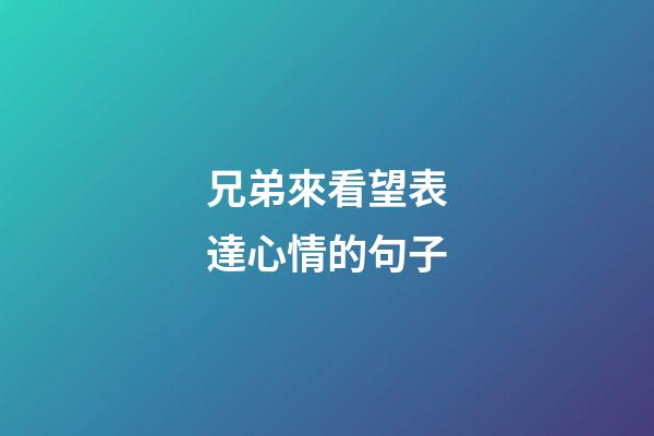 兄弟來看望表達心情的句子