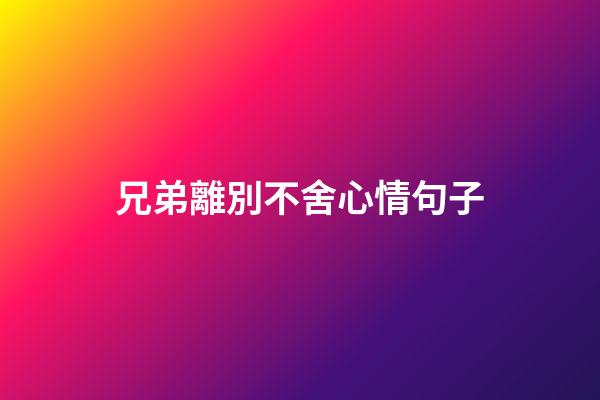 兄弟離別不舍心情句子