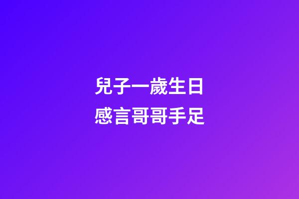 兒子一歲生日感言哥哥手足