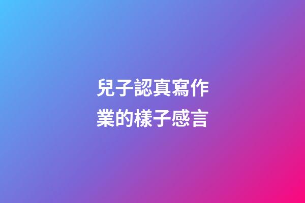 兒子認真寫作業的樣子感言