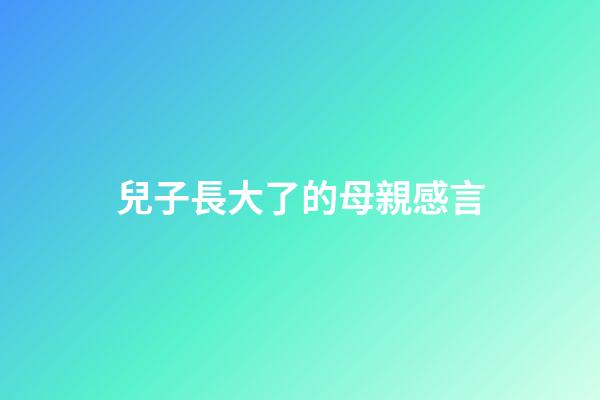 兒子長大了的母親感言