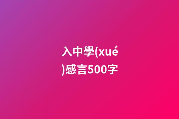 入中學(xué)感言500字