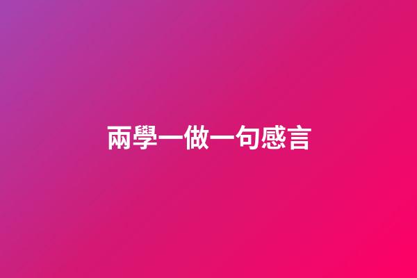 兩學一做一句感言