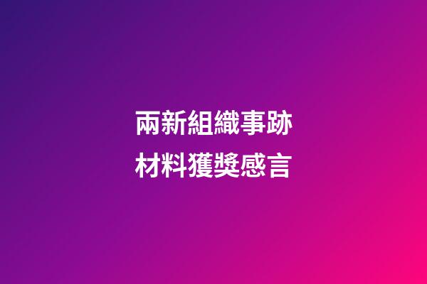 兩新組織事跡材料獲獎感言