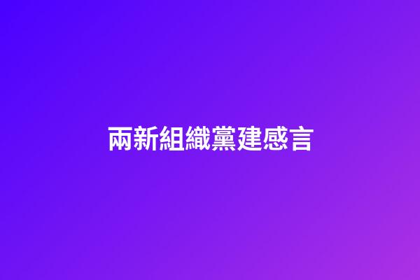 兩新組織黨建感言