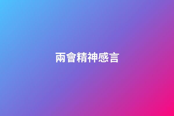 兩會精神感言