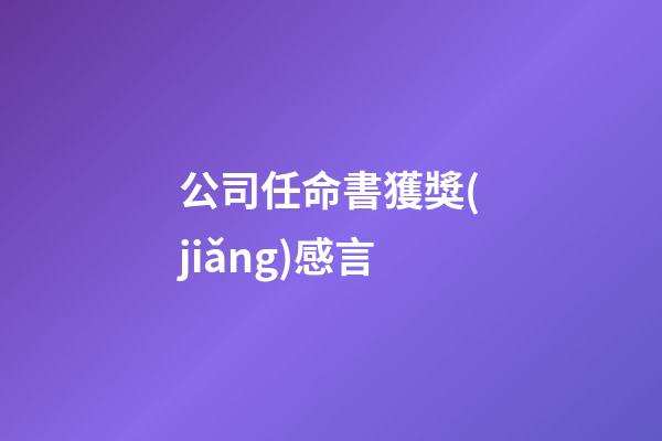 公司任命書獲獎(jiǎng)感言