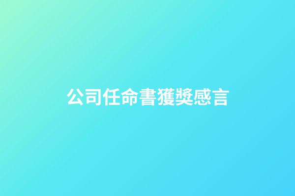 公司任命書獲獎感言