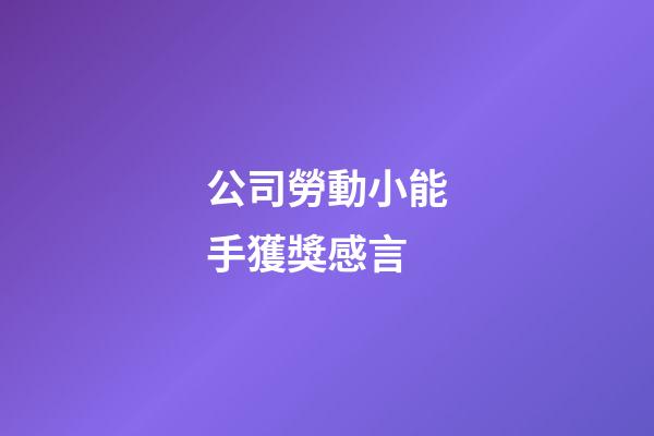 公司勞動小能手獲獎感言