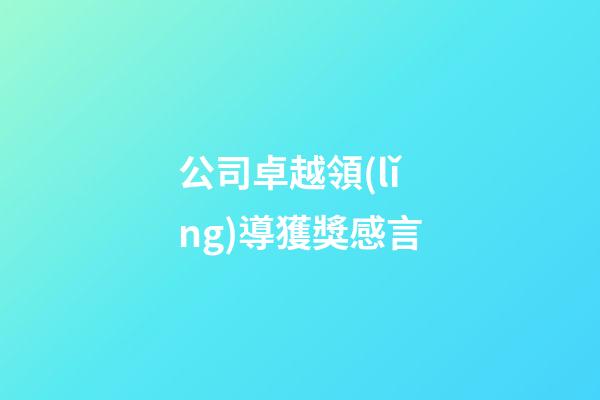 公司卓越領(lǐng)導獲獎感言
