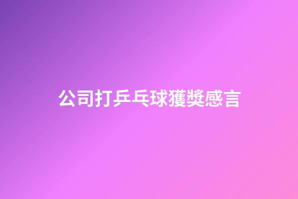 公司打乒乓球獲獎感言