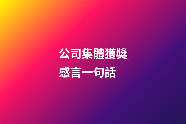 公司集體獲獎感言一句話