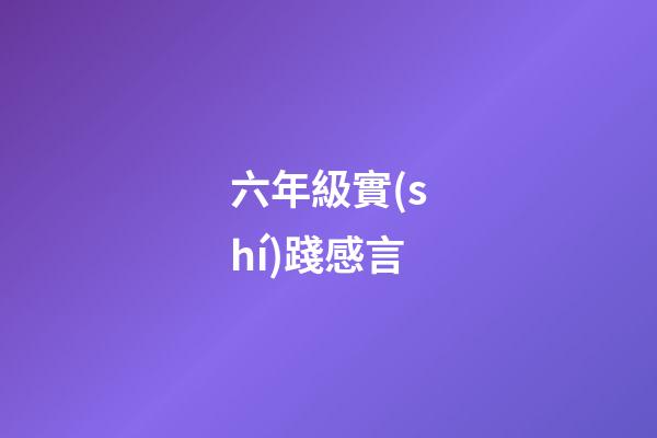 六年級實(shí)踐感言