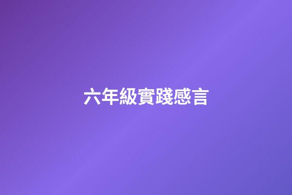 六年級實踐感言