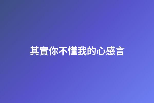其實你不懂我的心感言