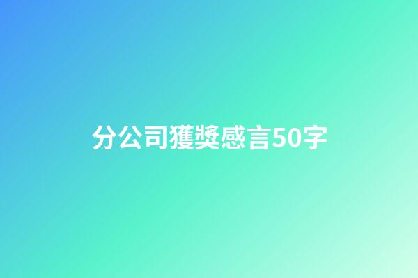 分公司獲獎感言50字