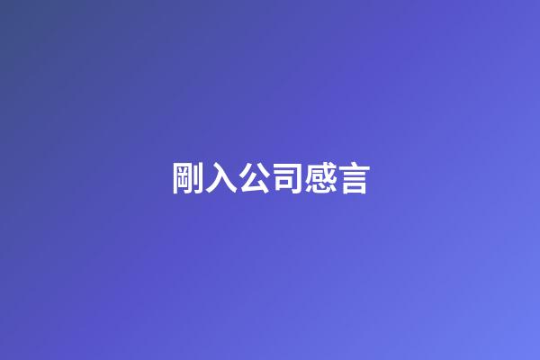 剛入公司感言
