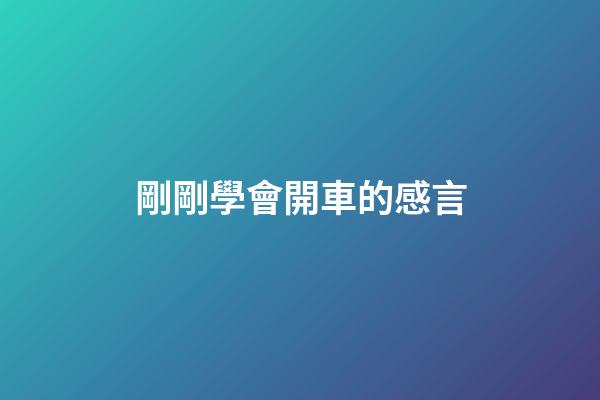 剛剛學會開車的感言