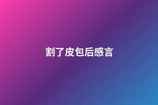 割了皮包后感言