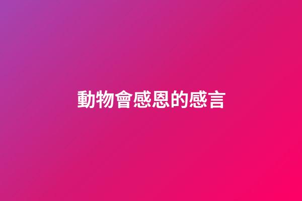 動物會感恩的感言