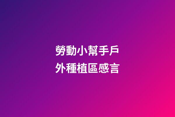 勞動小幫手戶外種植區感言