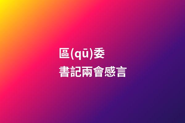 區(qū)委書記兩會感言
