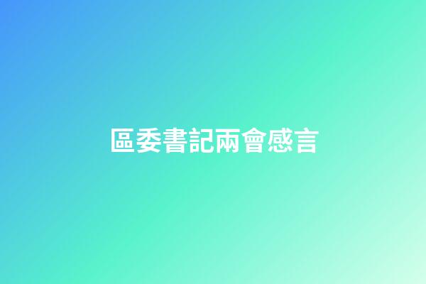 區委書記兩會感言