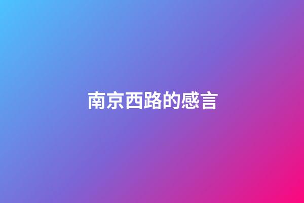 南京西路的感言