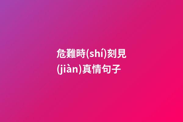 危難時(shí)刻見(jiàn)真情句子