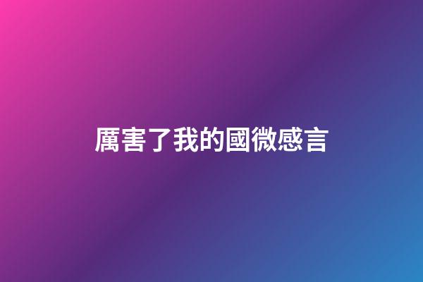 厲害了我的國微感言