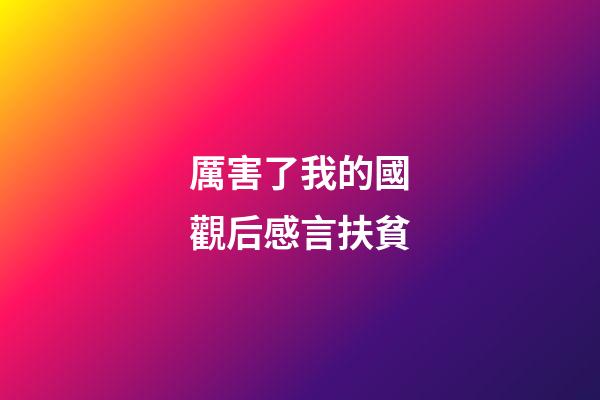 厲害了我的國觀后感言扶貧
