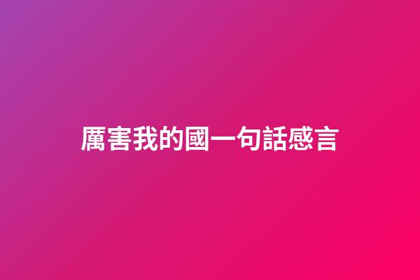 厲害我的國一句話感言