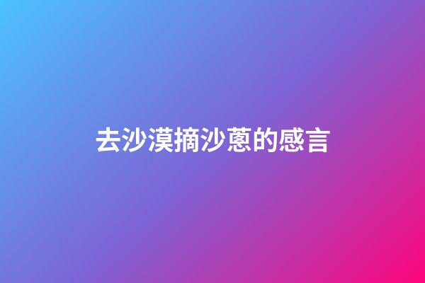 去沙漠摘沙蔥的感言
