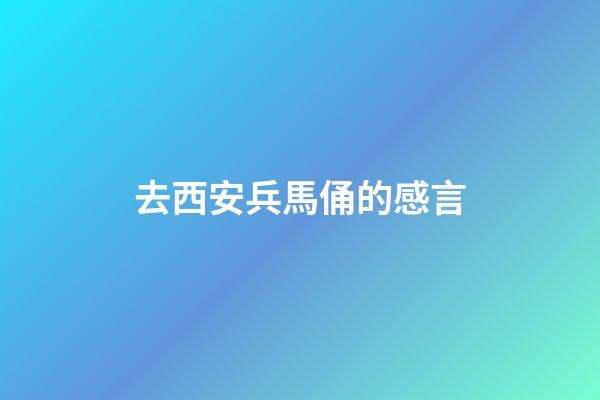 去西安兵馬俑的感言