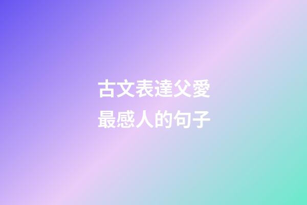 古文表達父愛最感人的句子