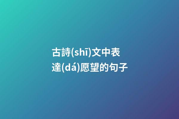 古詩(shī)文中表達(dá)愿望的句子