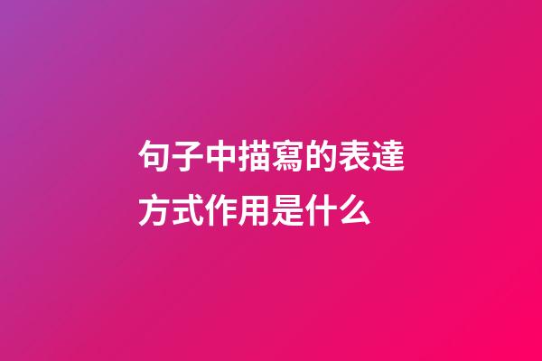 句子中描寫的表達方式作用是什么