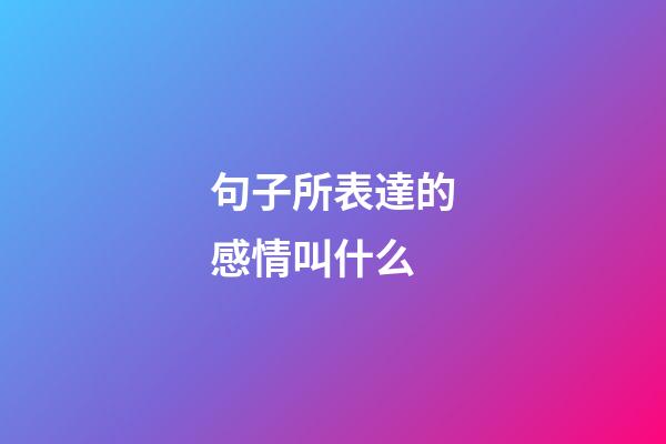 句子所表達的感情叫什么