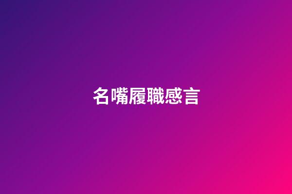 名嘴履職感言