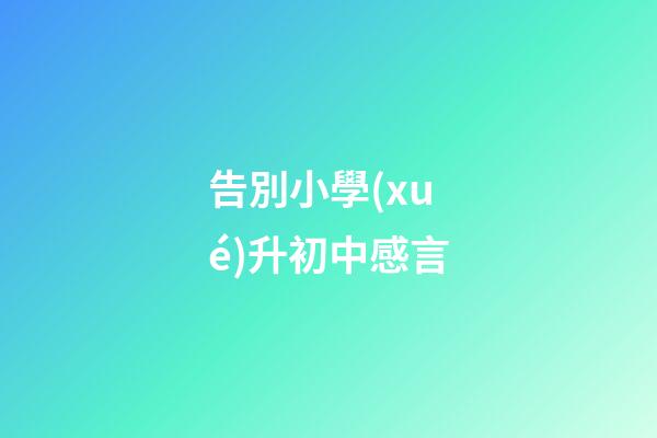 告別小學(xué)升初中感言