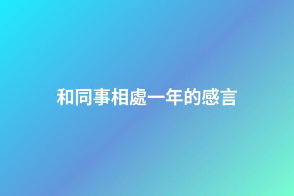 和同事相處一年的感言