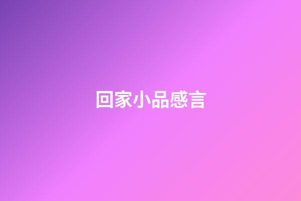 回家小品感言