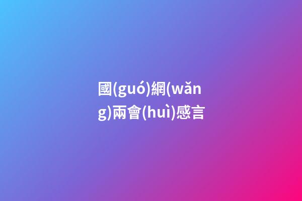 國(guó)網(wǎng)兩會(huì)感言