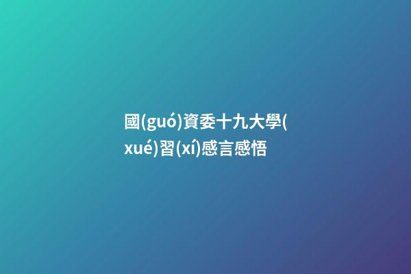 國(guó)資委十九大學(xué)習(xí)感言感悟