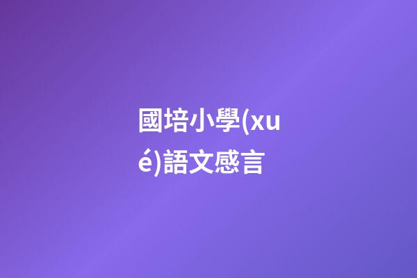 國培小學(xué)語文感言