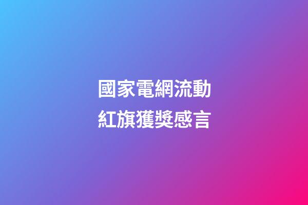 國家電網流動紅旗獲獎感言