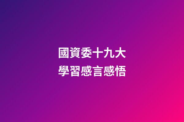 國資委十九大學習感言感悟
