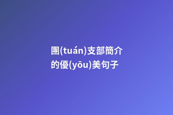 團(tuán)支部簡介的優(yōu)美句子